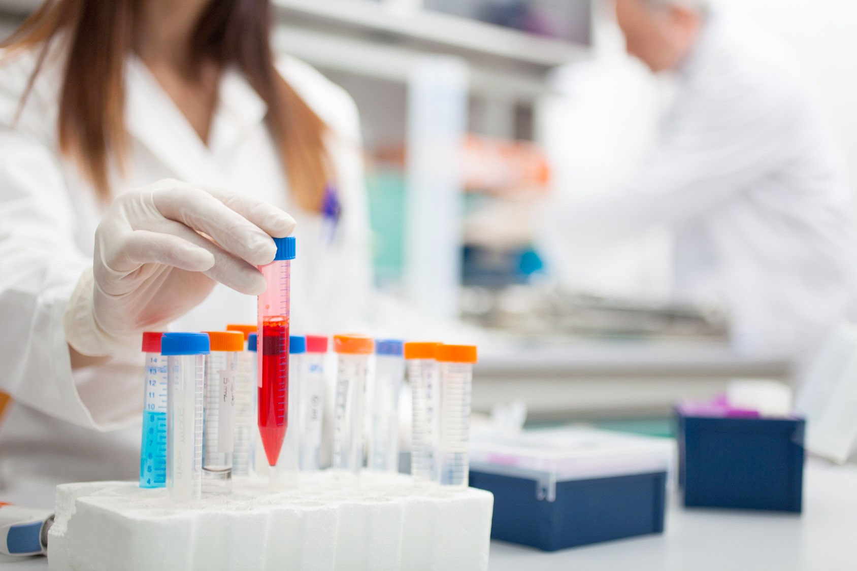 Laboratorio Croce Azzurra Jesi