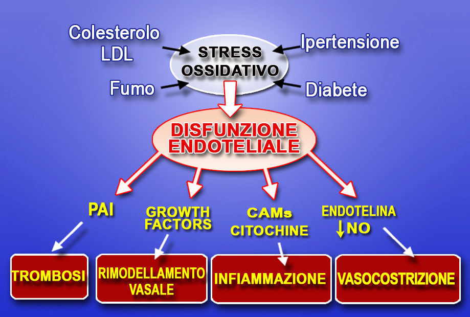 Stress Ossidativo